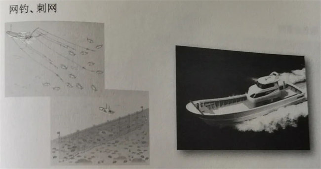 玻璃钢流刺网渔船